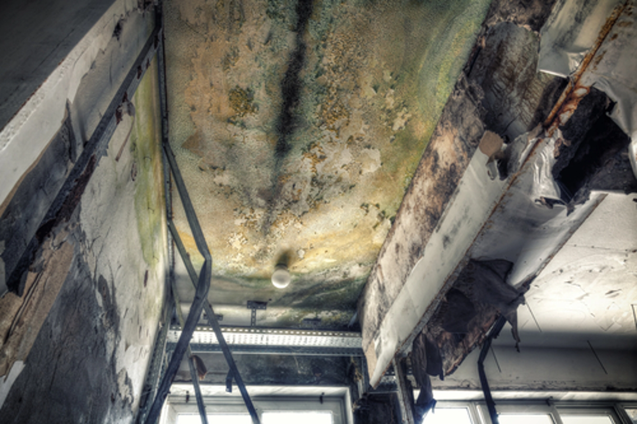 Moldy, damaged ceiling in an abandoned building.